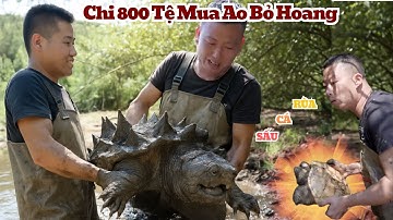Bỏ 800 Tệ Mua Ao Hoang – Không Ngờ Vớ Được RÙA CÁ SẤU Khổng lồ 100kg + RÙA ĐỘT BIẾN Siêu Hiếm