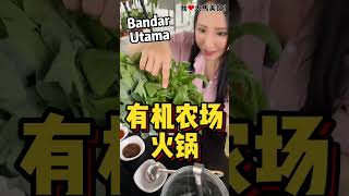 【雪兰莪PJ美食】Utama Steamboat @ 1 Utama附近
