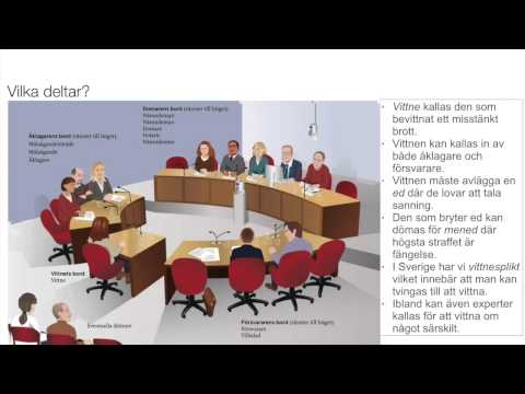 Video: Hur Man Kan Väcka Talan Vid Domstol