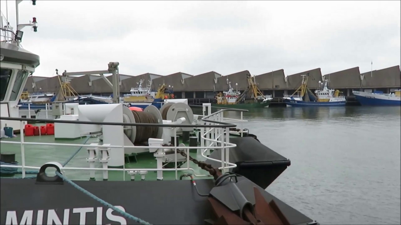 Рыбный порт Схевенинген