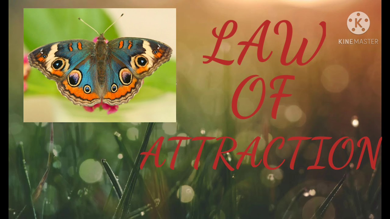 law of attraction// self love// magic of universe// the secret// menifestation// power of universe