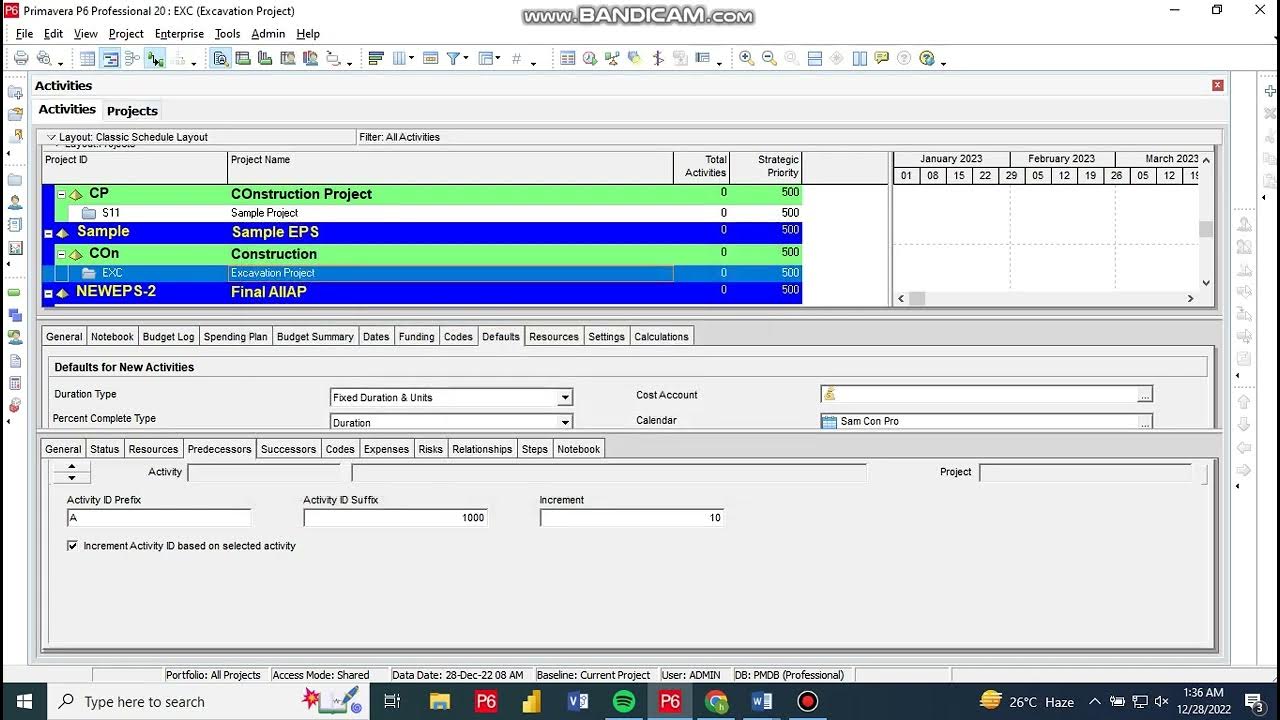 Primavera P6 Schedule - YouTube