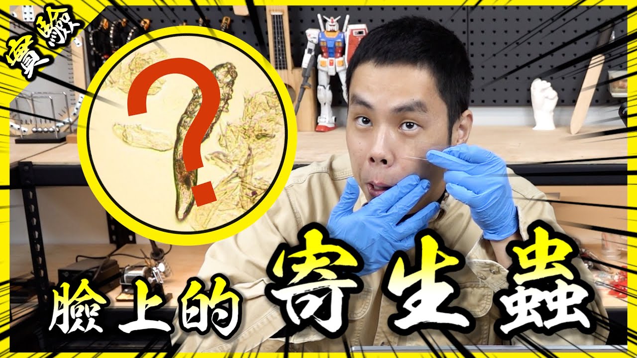 我臉上有蠕形螨嗎？優酪乳裡面真的有活性菌嗎？微觀世界真是太神奇了！【胡思亂搞】