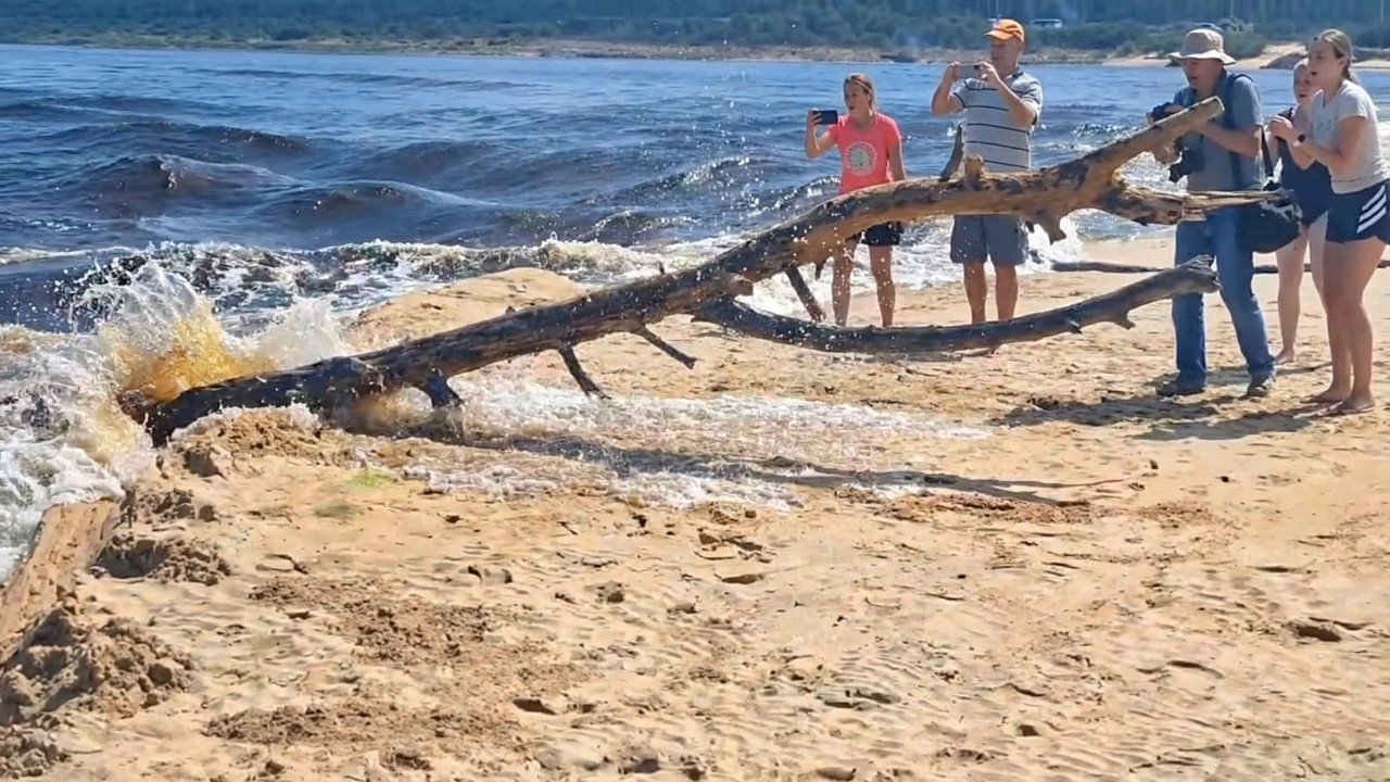 South Africa Today on 14 February 2026