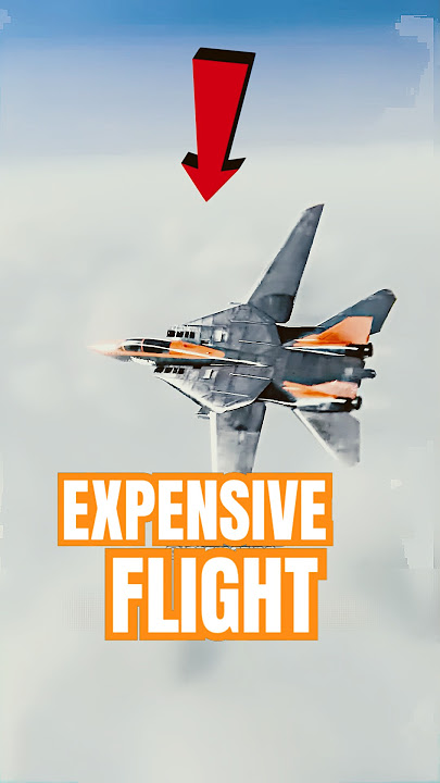 This FLIGHT Costs Your Entire SAVINGS