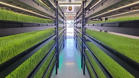 Growing Fodder in an Indoor Hydroponic Farm