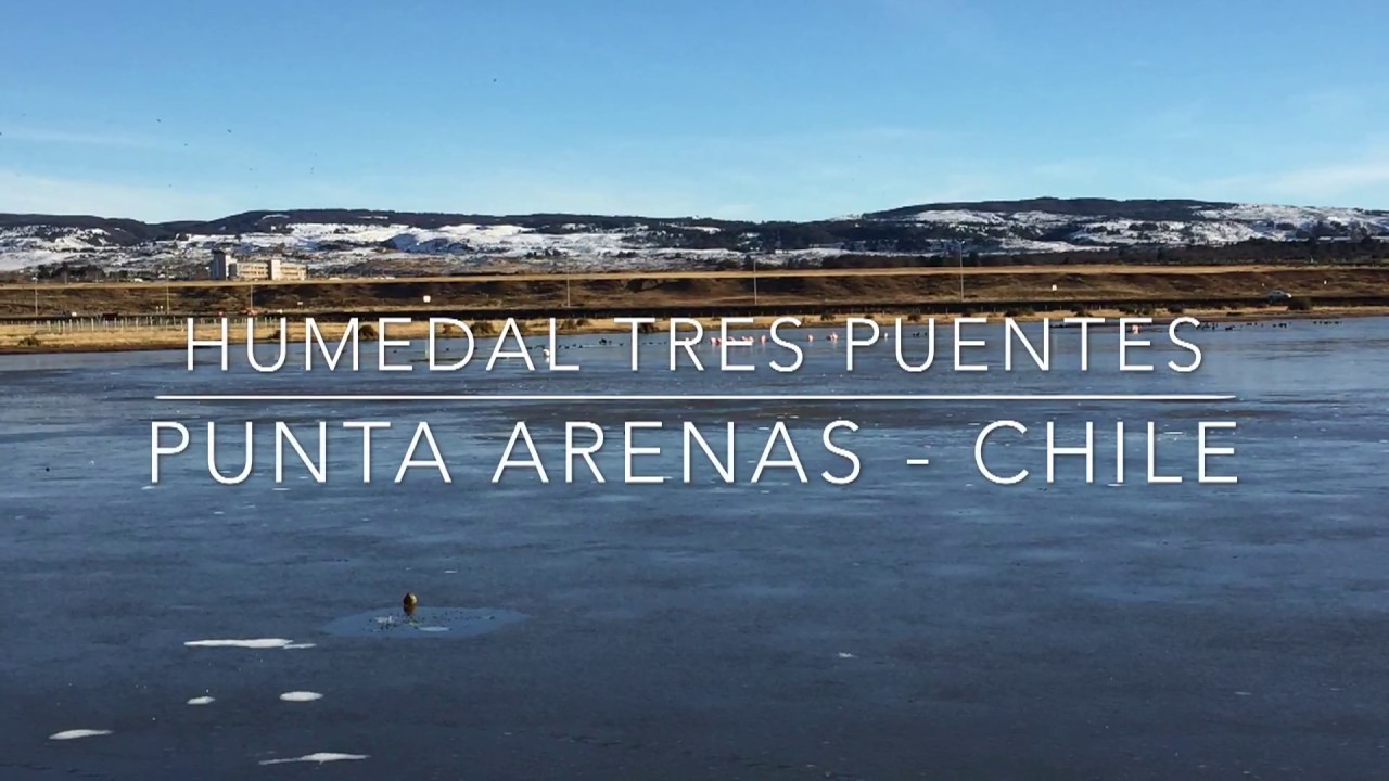 Humedal Tres Puentes