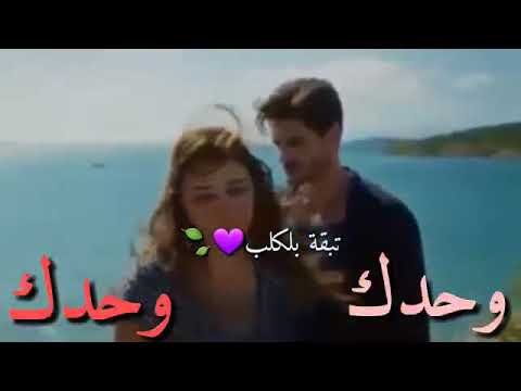 تبقه بل كلب وحدك