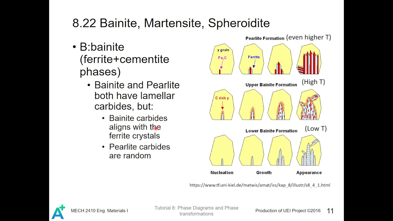 MECH2410 Iron-Iron-Carbon System; TTT Diagrams & Transformations T8P4