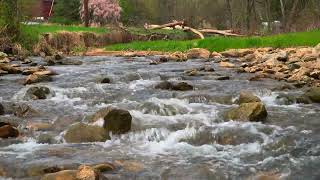 HDR country hillside spring stream, ASMR water sounds for sleep, tinnitus, relax, HDR nature scene
