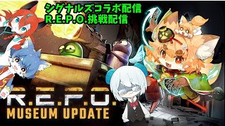 【シグナルズコラボ】R.E.P.Oコラボ配信【紙家レイス】