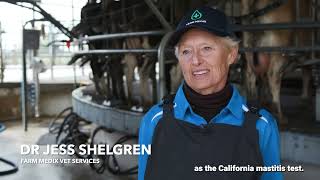 RMT/CMT for dairy cows | HOW-TO | Dr Jess Shelgren, DVM explains best practices to perform an RMT.
