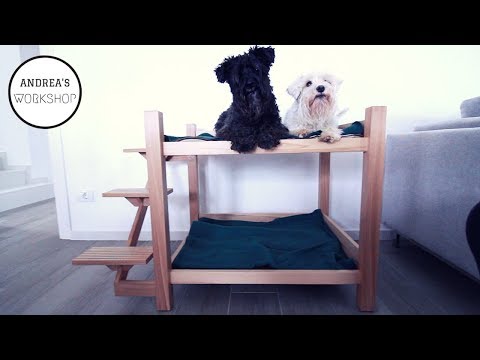 Video: Cómo construir una litera para un perro