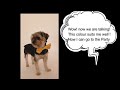Watch ! Listen ! Repeat ! Part -2