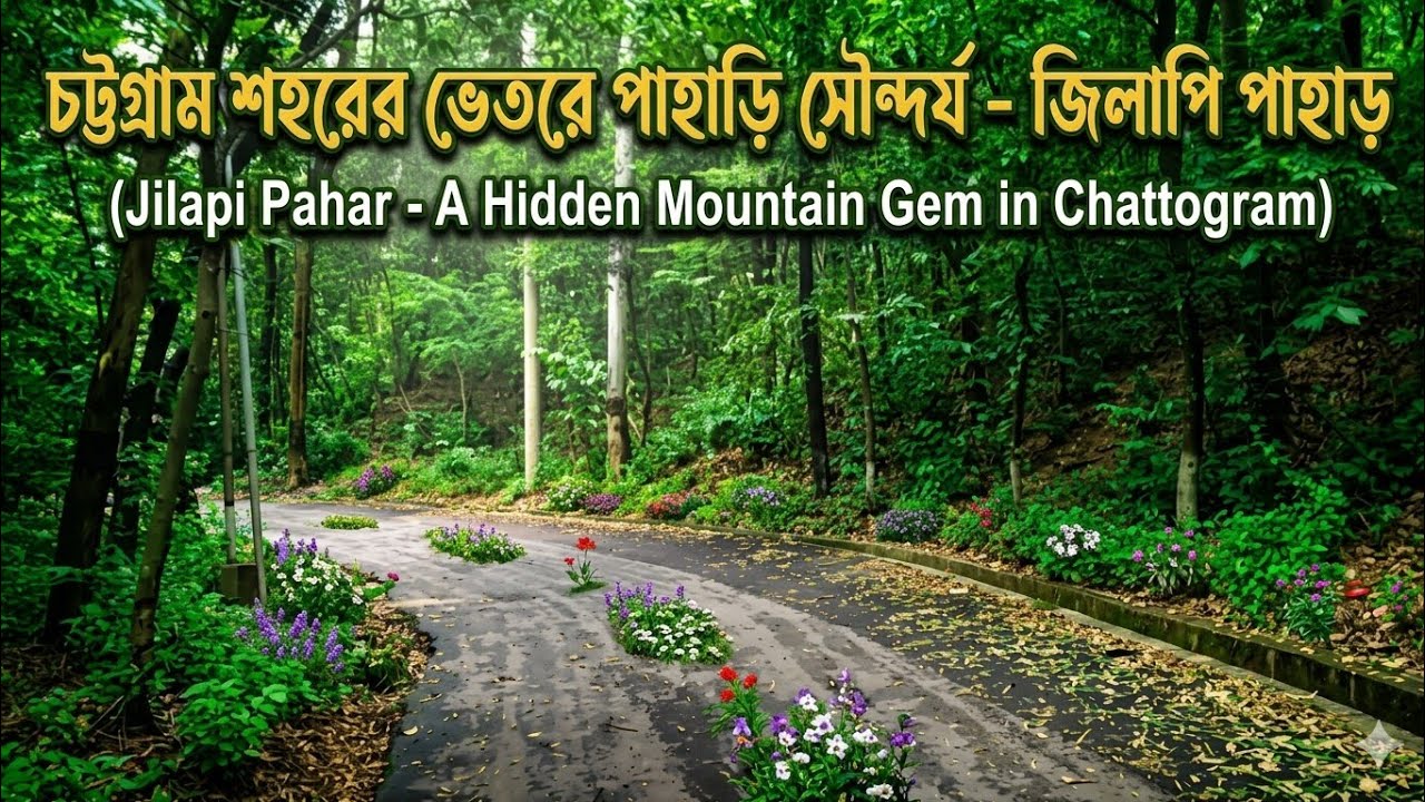 কিভাবে জিলাপি পাহাড় ঘুরে দেখলাম ও এই পাহাড় নিয়ে বিস্তারিত, যান্ত্রিক নগরী তে লুকায়িত পাহাড়ি বন।