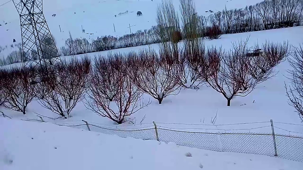 BÜYÜK ÖRTÜLLÜ KÖYÜ   SARIZ/KAYSERİ