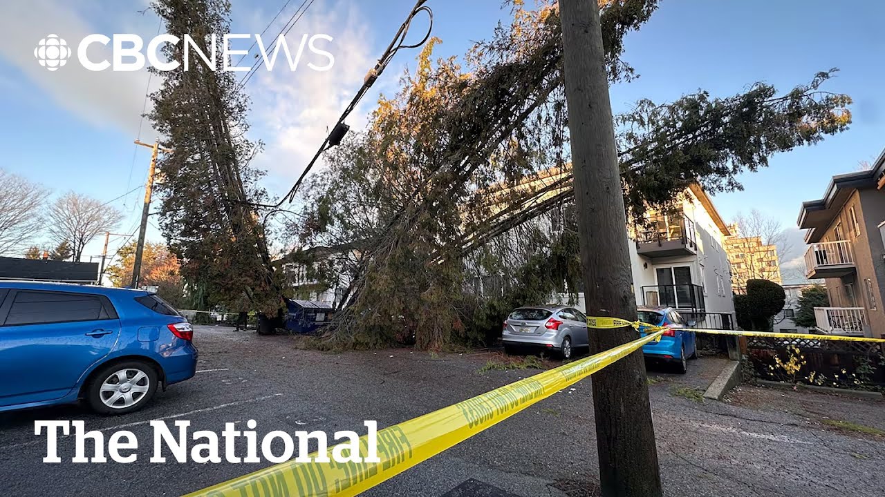 Wind storm knocks out power for thousands across B.C. - YouTube
