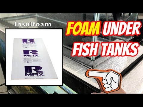 How A Padded Aquarium Mat Could Save Your Tank!