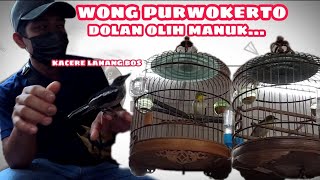 piaraan tertua di jemput majikan baru wong purwokerto