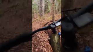 the problem with my suntour suspension