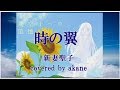 時の翼/新妻聖子 covered by akane