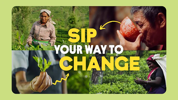 Spilling the tea on sustainability