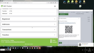 Neo wallet how to add ZPT token