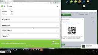 Neo wallet how to add ZPT token screenshot 5