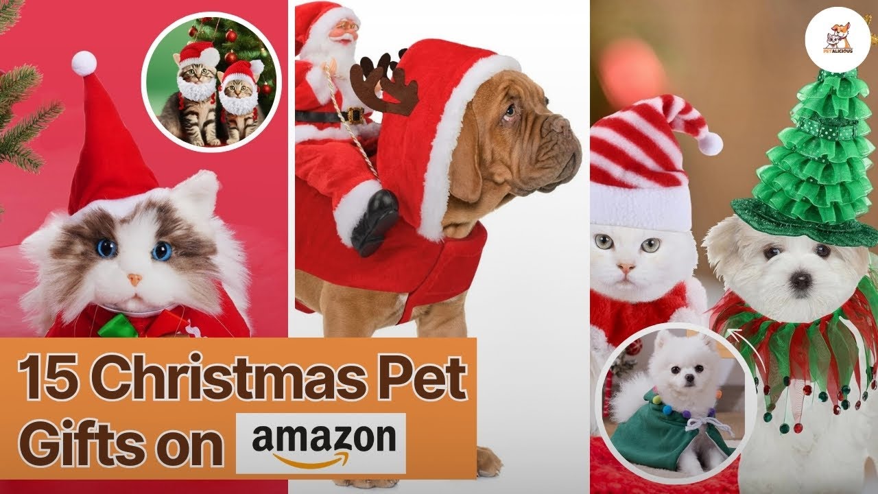 Top 15 surprises for your Pets  on Christmas  [ 2024 ]