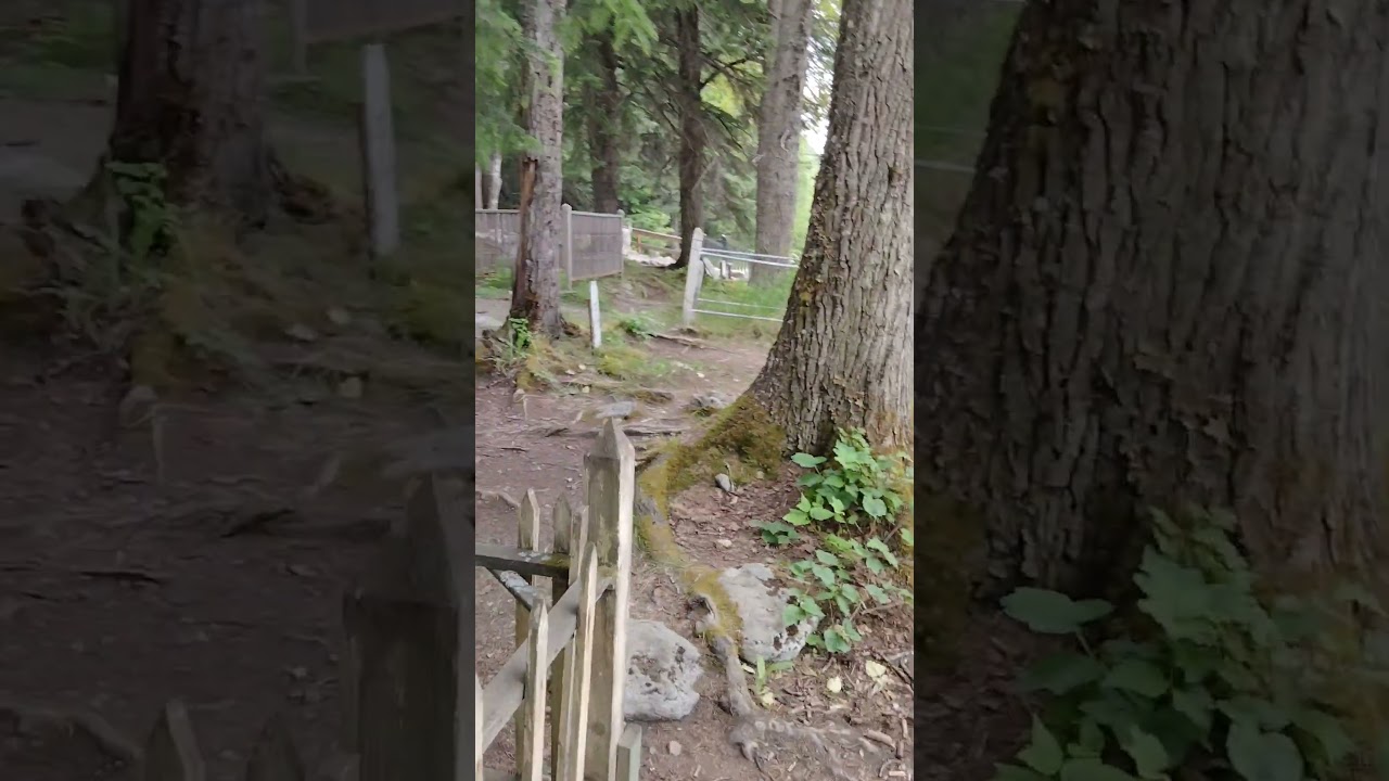 Gold Rush Cemetery (part 2), Skagway, AK 