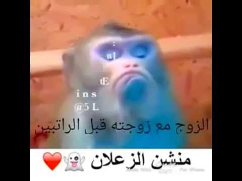 يا زعلان يا زعلان لا تزعلوا الحريم