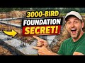 How we built a 3000 Birds step by step. DAY 1
