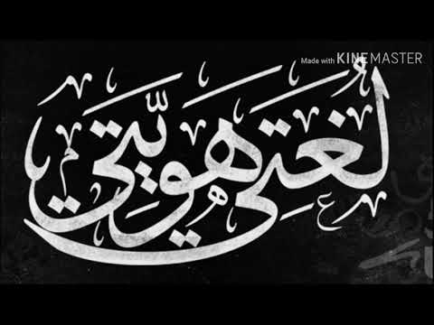 شعر عن فضل العلم