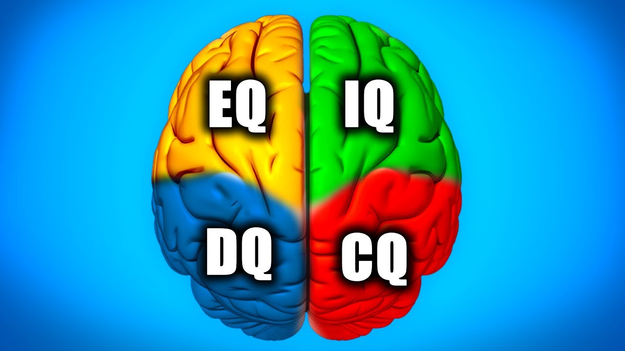 Unlock Different Forms of Intelligence in 12 Minutes