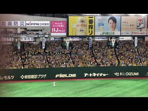 20170826 東京ドーム　阪神　福留応援歌