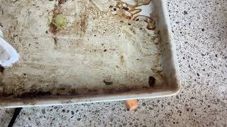 Cleaning stoneware
