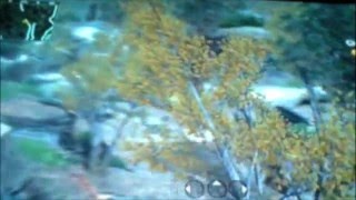 COD4 Map - Creek