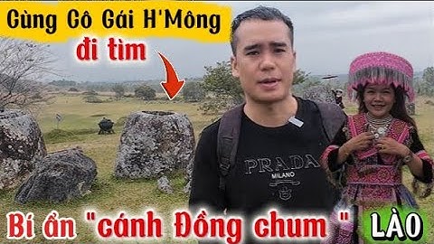 Cánh Đồng Chum Lào :  Bí ẩn bạn chưa biết về một nền Văn Minh rực rỡ bậc nhất ở Đông Nam Á