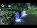 Meditation – Calm the Mind – Zen  Music to Meditate with Sounds of Nature – Relax