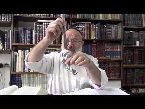 וורט על פרשת כי תבוא