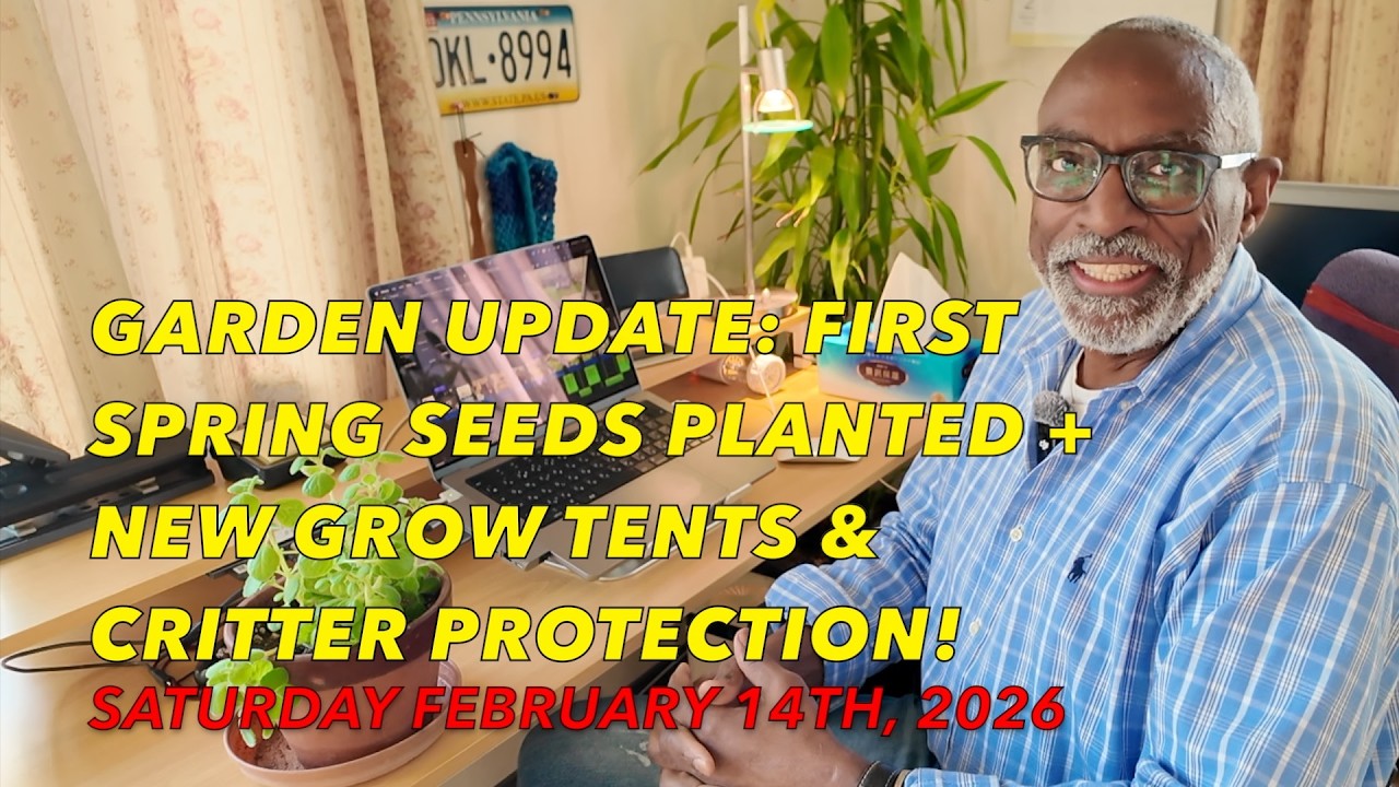 Новости сада: высажены первые весенние семена, установлены новые гроубоксы и защита от вредителей!