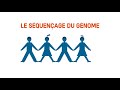 Le séquençage du génome Mp3 Song