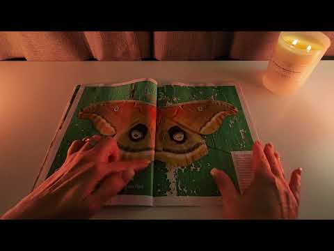 Page Turning with Tracing and Spine Creasing for Sleep, Study and Relaxation - No Talking