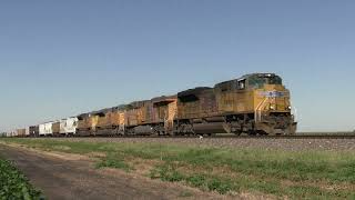 UP 8317 East