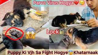 Roxcy K Puppy Ko Parvovirus Hogya💔😢|| Coco Or Roxcy Apas M Lad Gye😨Puppy Ki Vjh sa😰