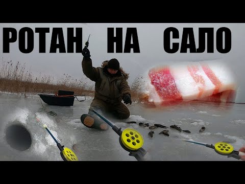 НАКОСИЛ РОТАНА ПО БЫРОМУ И УЕХАЛ!!! РЫБАЛКА НА РОТАНА!!! ПЕРВЫЙ ЛЁД 2023