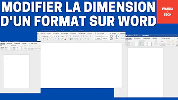 Où se trouve le format dans Word ?