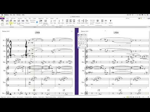 Overview (Sibelius 2019 Explained)