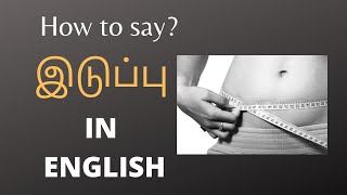 இடுப்பு In English, how to say இடுப்பு in english, what is meant by இடுப்பு in egnlish, screenshot 4