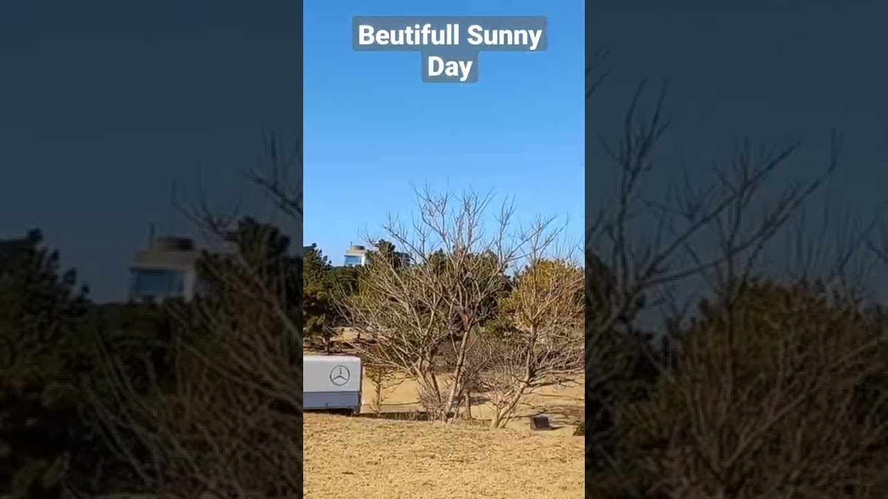 Beutifull Sunny Day 